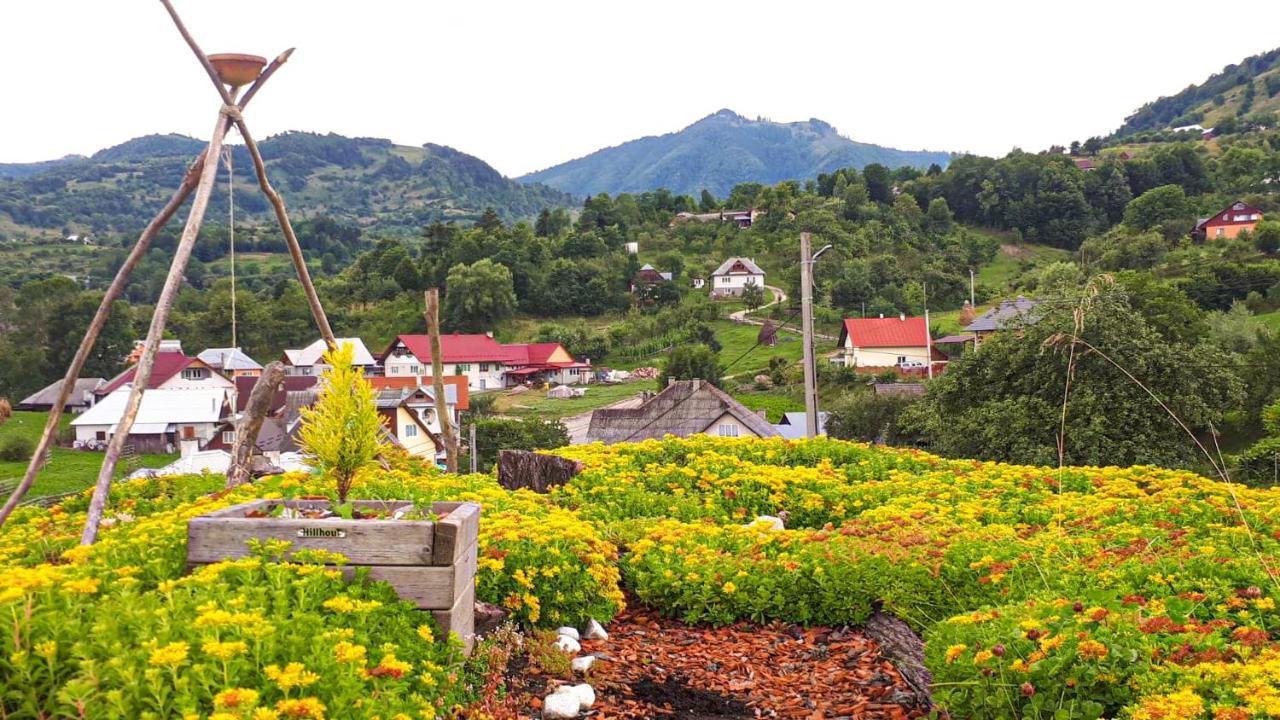 Popasul Verde Singeorz-Bai Ngoại thất bức ảnh