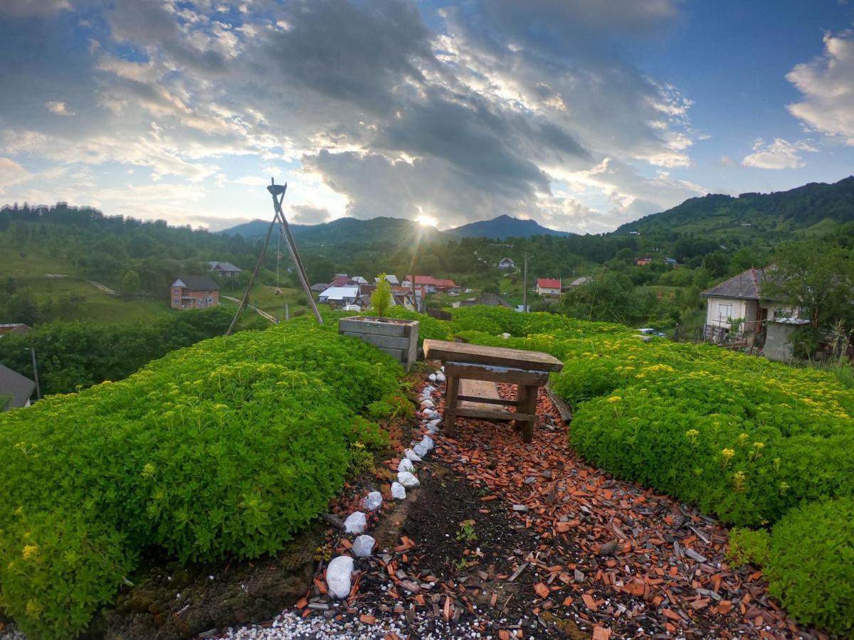 Popasul Verde Singeorz-Bai Ngoại thất bức ảnh