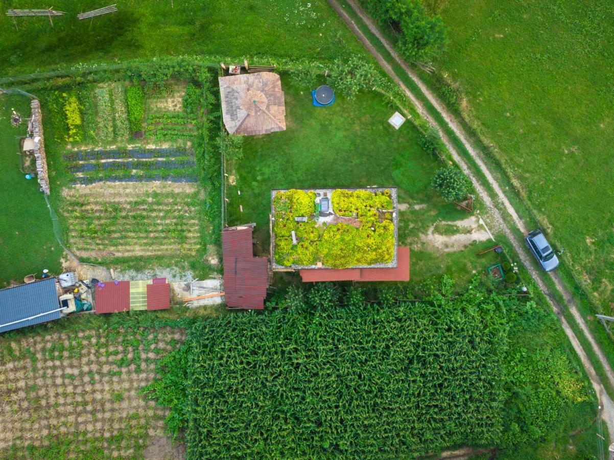 Popasul Verde Singeorz-Bai Ngoại thất bức ảnh