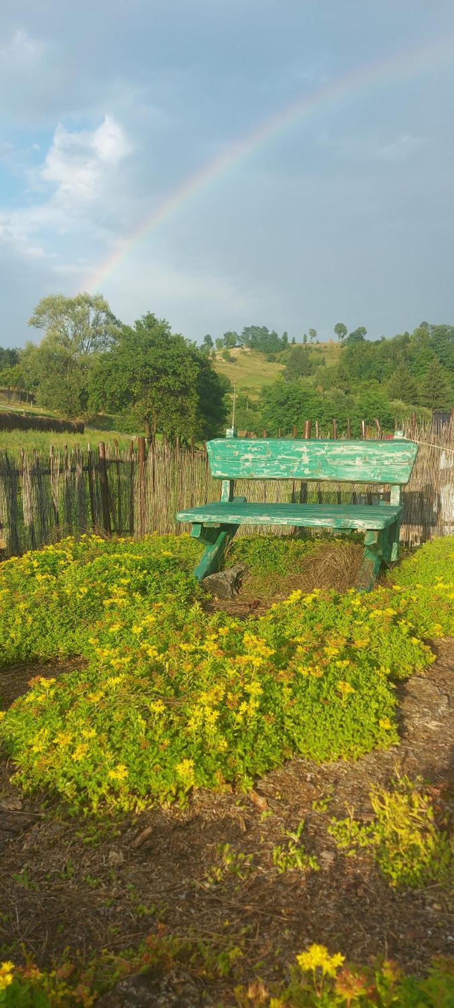 Popasul Verde Singeorz-Bai Ngoại thất bức ảnh